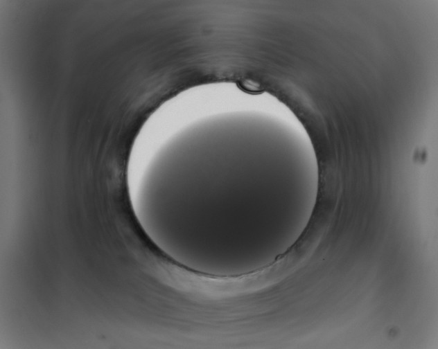 X0000101230039200807251145