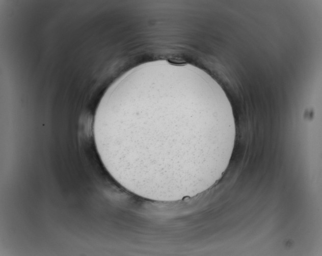 X0000101230041200807251145