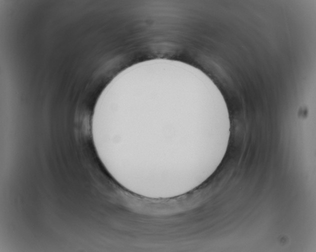 X0000101230042200807251145