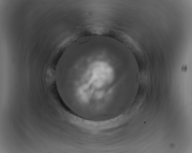 X0000101230043200807251145