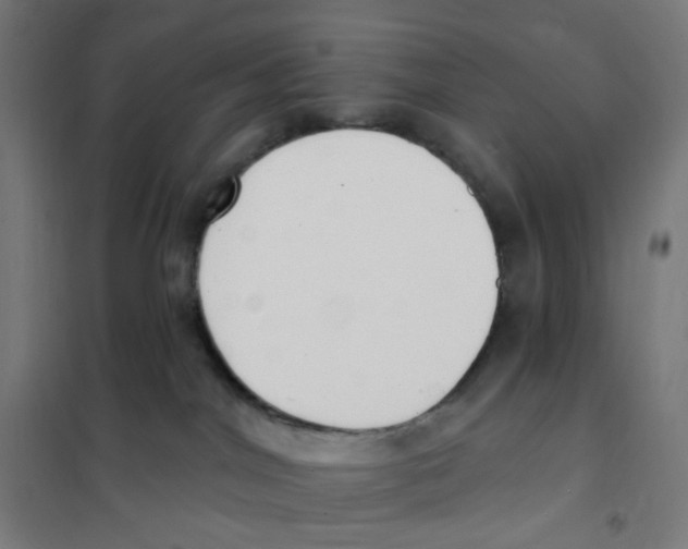 X0000101230044200807251145