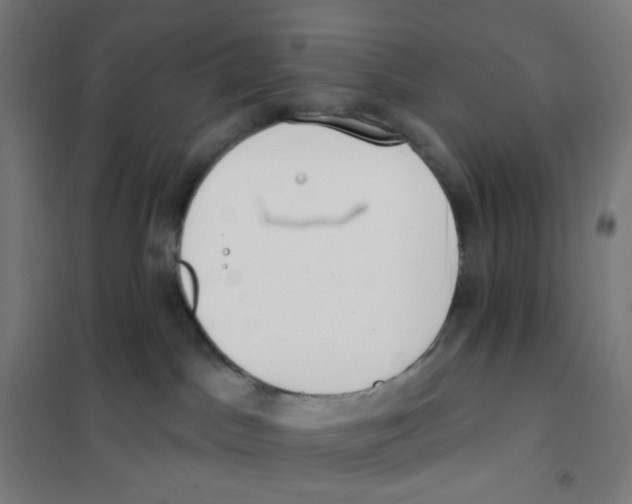X0000101230045200807251145