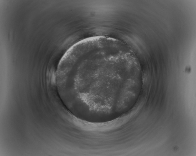 X0000101230046200807251145