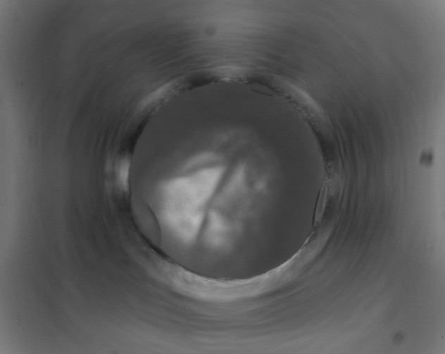 X0000101230047200807251145