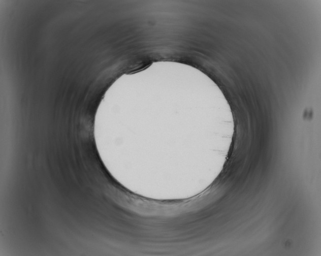 X0000101230048200807251145