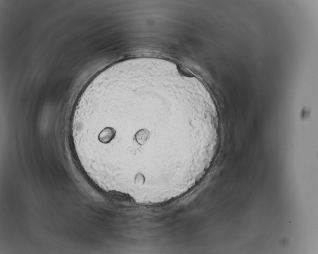 X0000101230049200807251144