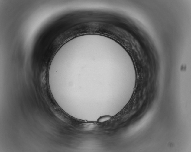 X0000101230050200807251144