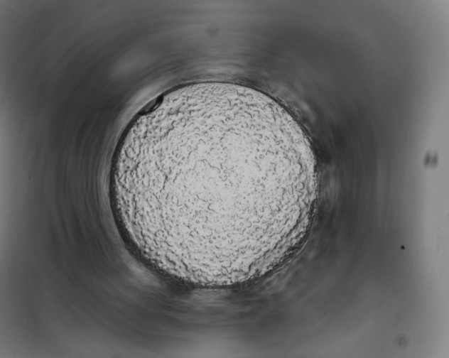 X0000101230051200807251144