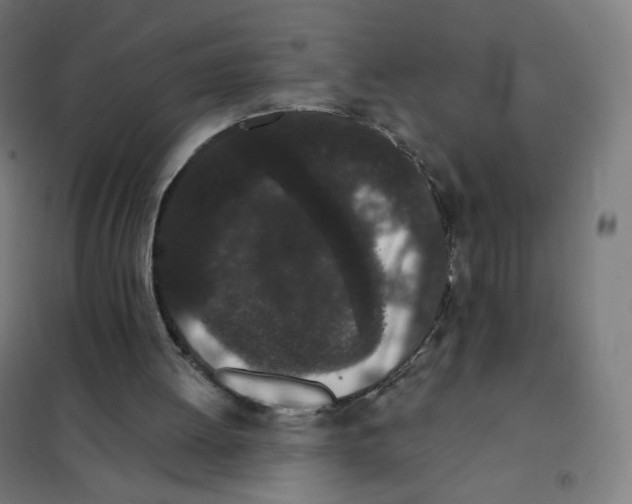 X0000101230052200807251144