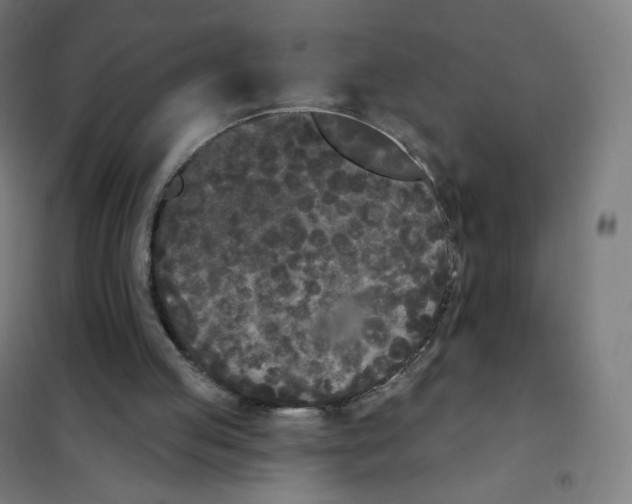 X0000101230053200807251144