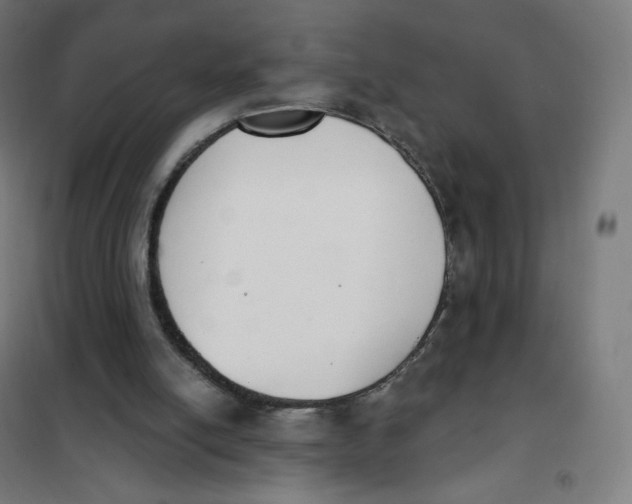 X0000101230054200807251144