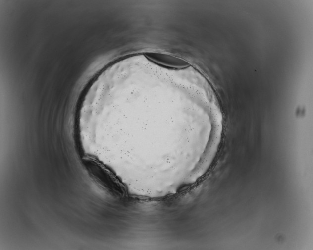 X0000101230055200807251144