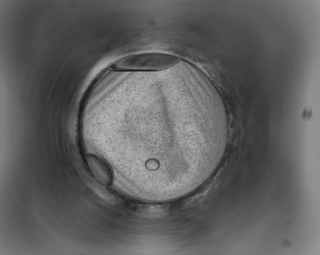 X0000101230056200807251144