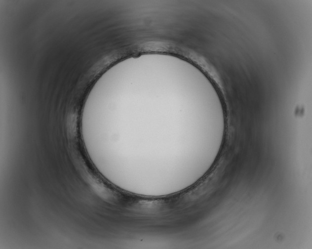 X0000101230057200807251144