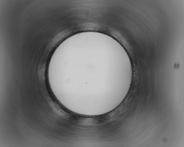 X0000101230058200807251144