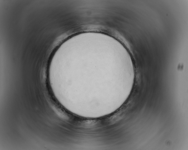 X0000101230059200807251144