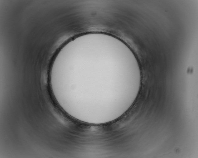 X0000101230060200807251144