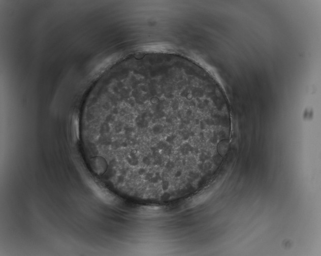 X0000101230061200807251144
