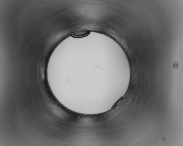 X0000101230062200807251144