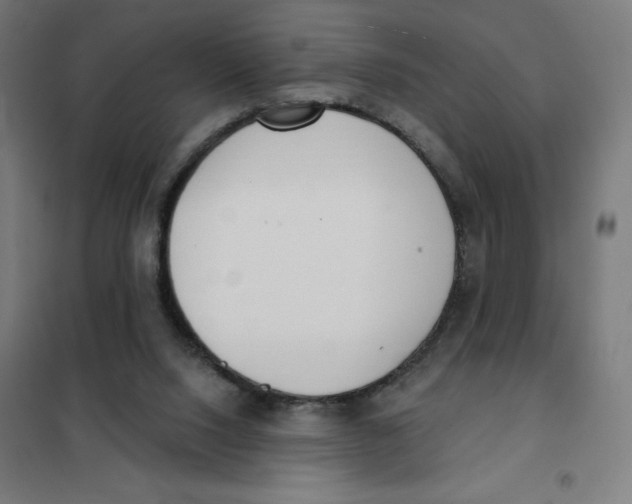 X0000101230064200807251144