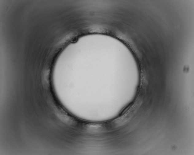 X0000101230066200807251144