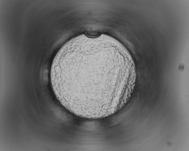 X0000101230067200807251144