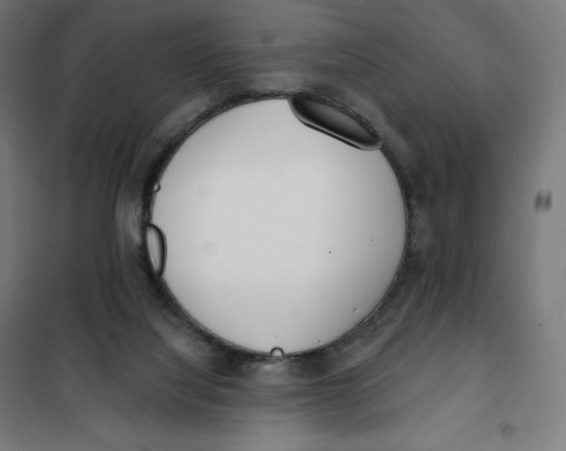 X0000101230068200807251144