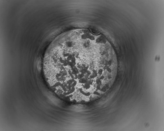 X0000101230069200807251144