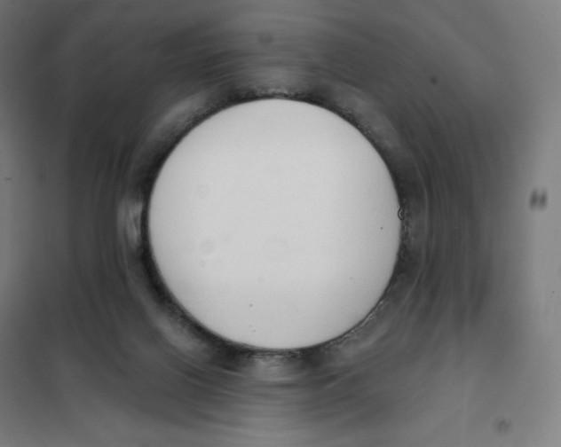 X0000101230070200807251144