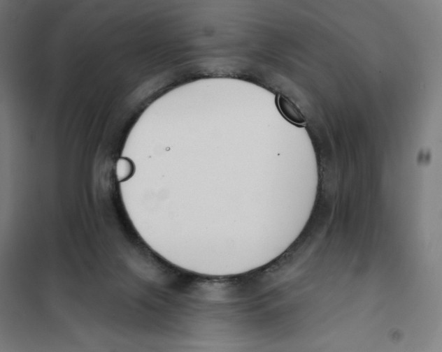 X0000101230071200807251144