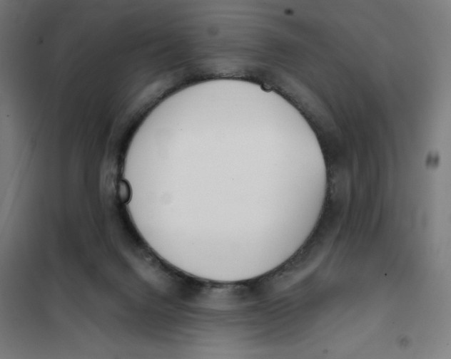 X0000101230072200807251144