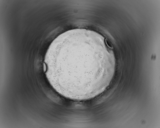 X0000101230073200807251144