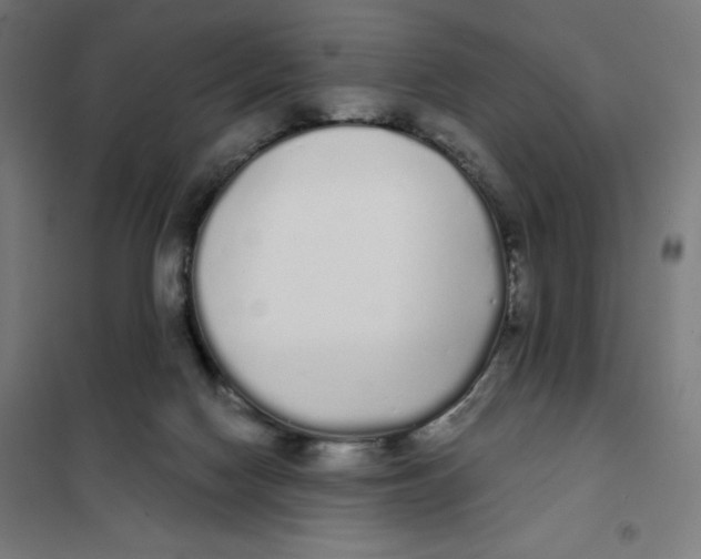 X0000101230074200807251144