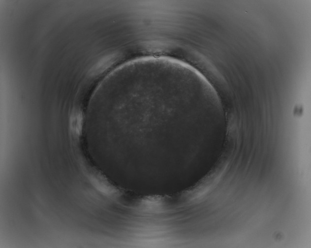 X0000101230076200807251144