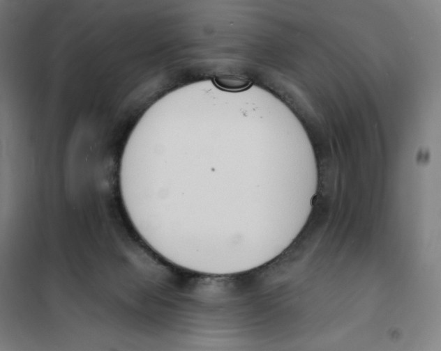 X0000101230077200807251144