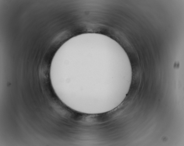 X0000101230078200807251144