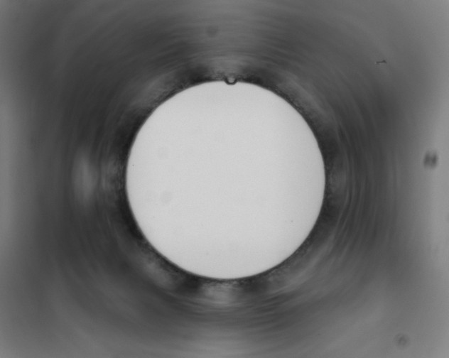 X0000101230079200807251144