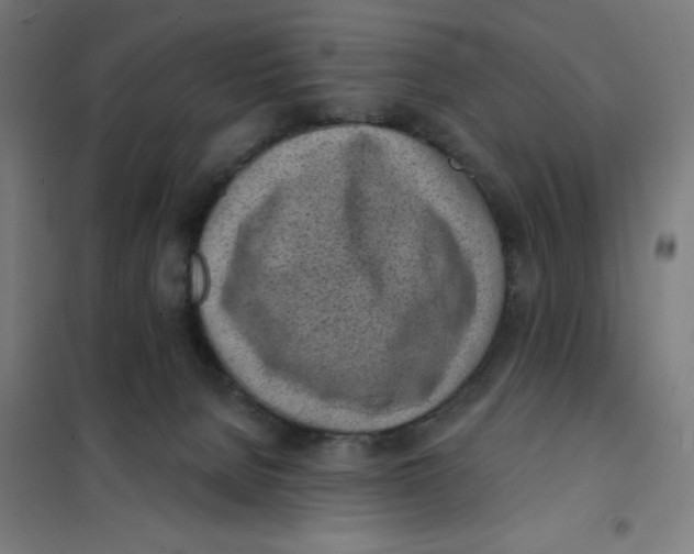 X0000101230080200807251144