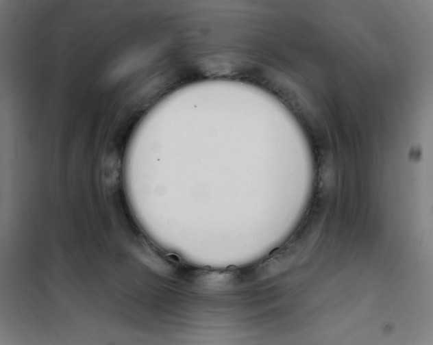 X0000101230081200807251144