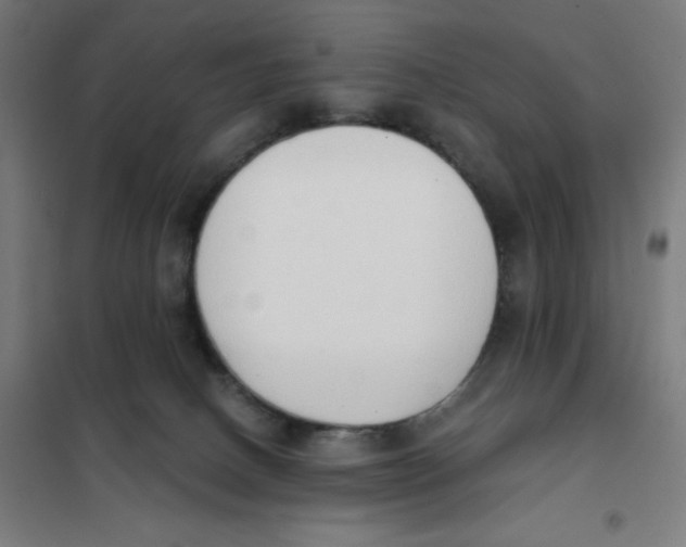 X0000101230082200807251144