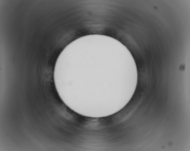 X0000101230083200807251144