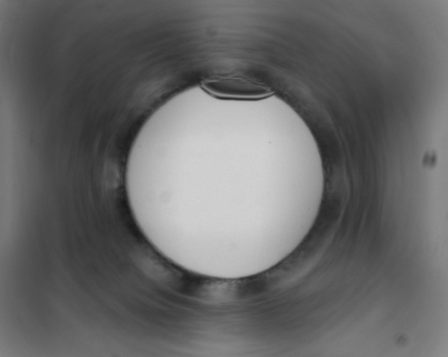 X0000101230084200807251144