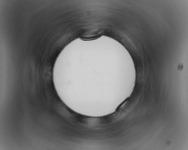 X0000101230085200807251144