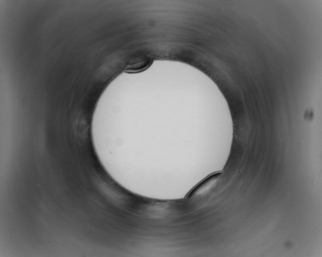 X0000101230086200807251144
