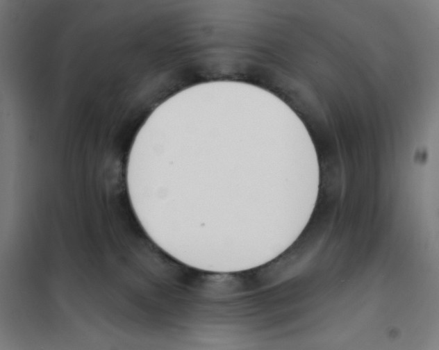 X0000101230087200807251144