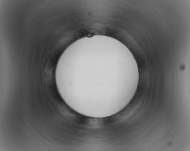 X0000101230088200807251144