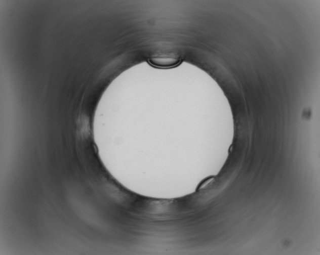 X0000101230089200807251144