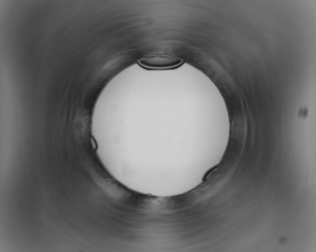 X0000101230092200807251144