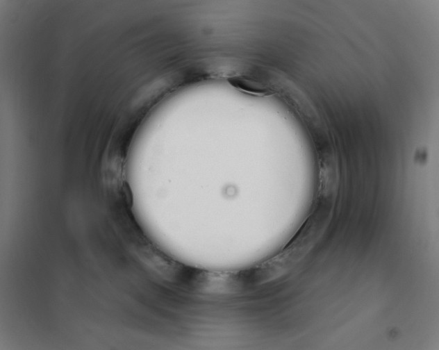 X0000101230093200807251144