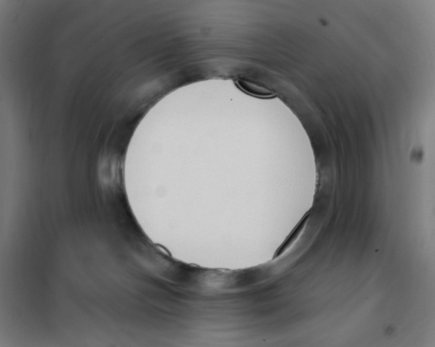 X0000101230094200807251144